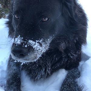 Meet your Posher, Kassidy